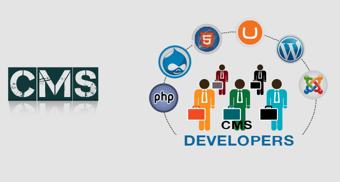 Hire CMS Developer