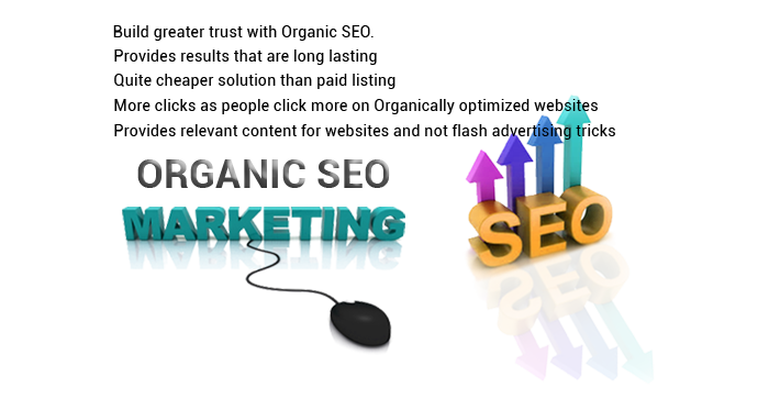 Organic SEO Services
